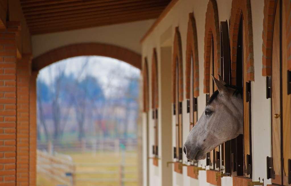 Villa Agriturismo Il Boschetto Ornago Einrichtungen foto